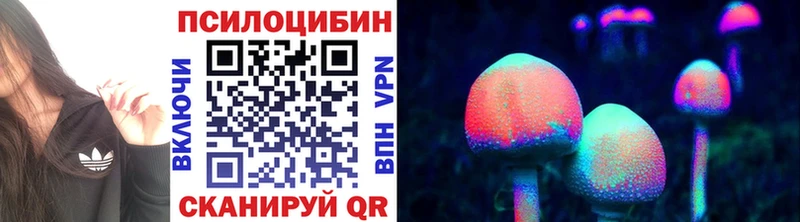KRAKEN ТОР  Струнино  Псилоцибиновые грибы Cubensis 